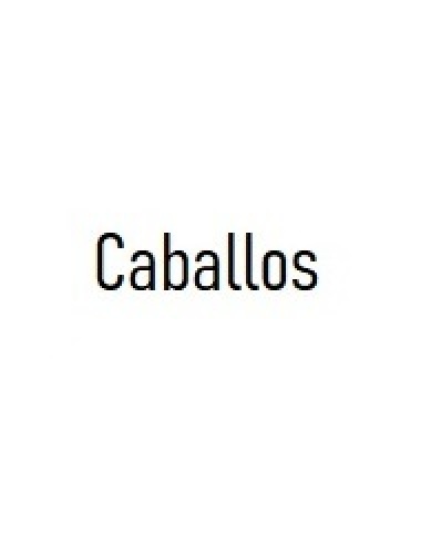 gallery/Caballos